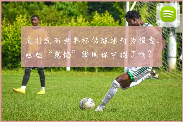 虎扑发布世界杯伪球迷行为报告：这些“露馅”瞬间你中招了吗？