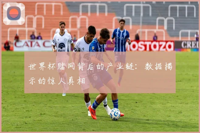 世界杯赌网背后的产业链：数据揭示的惊人真相